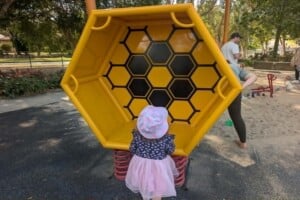 Beehive play rocker at The Hills District All Abilities Park.
