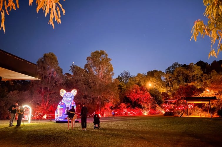 koala nightglow