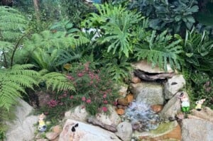 waterfall at butterfly vlley
