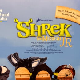 Stage school Australia shrek jr cutout in foyer