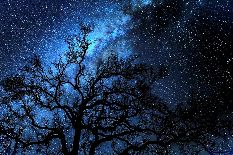 The Night Sky exhibition at Landsborough Museum